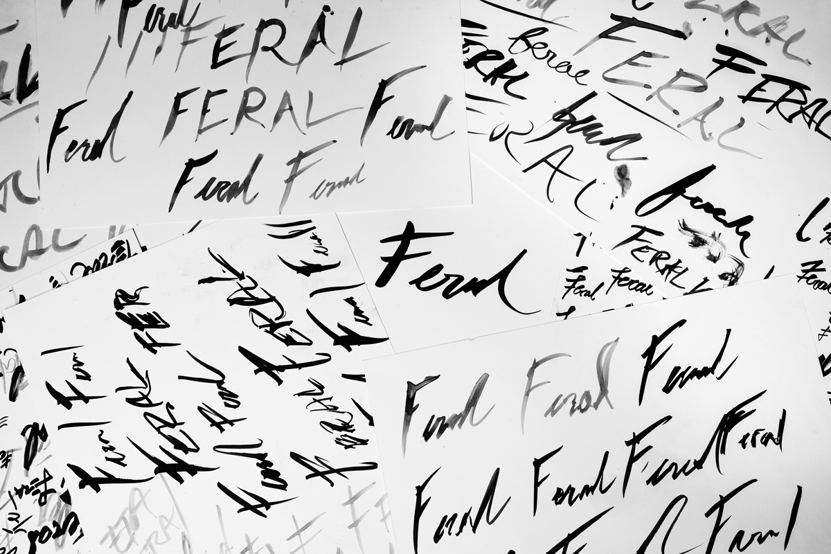 feral logo typography