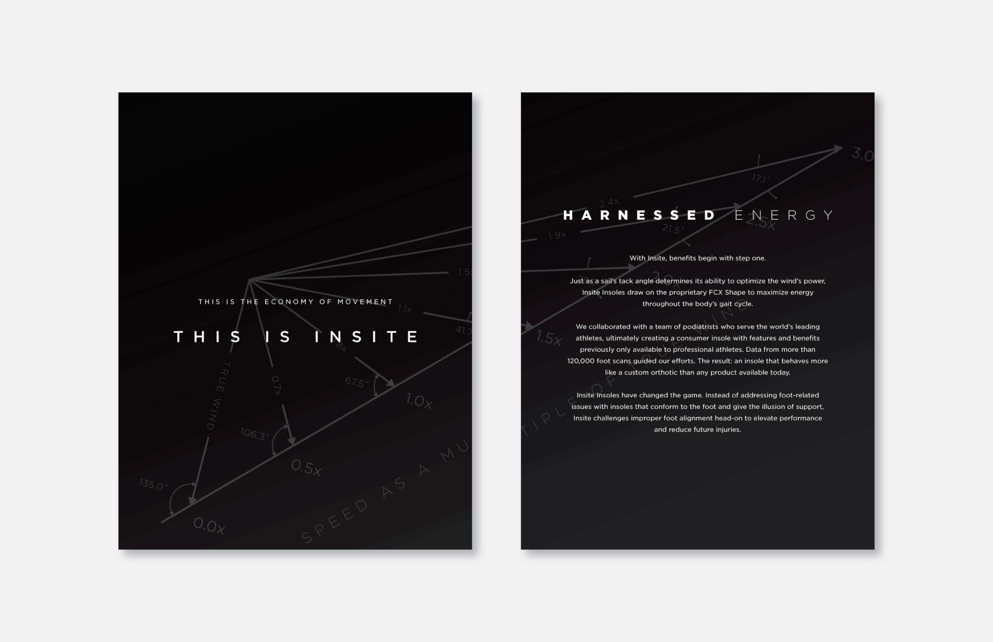 insite brochure