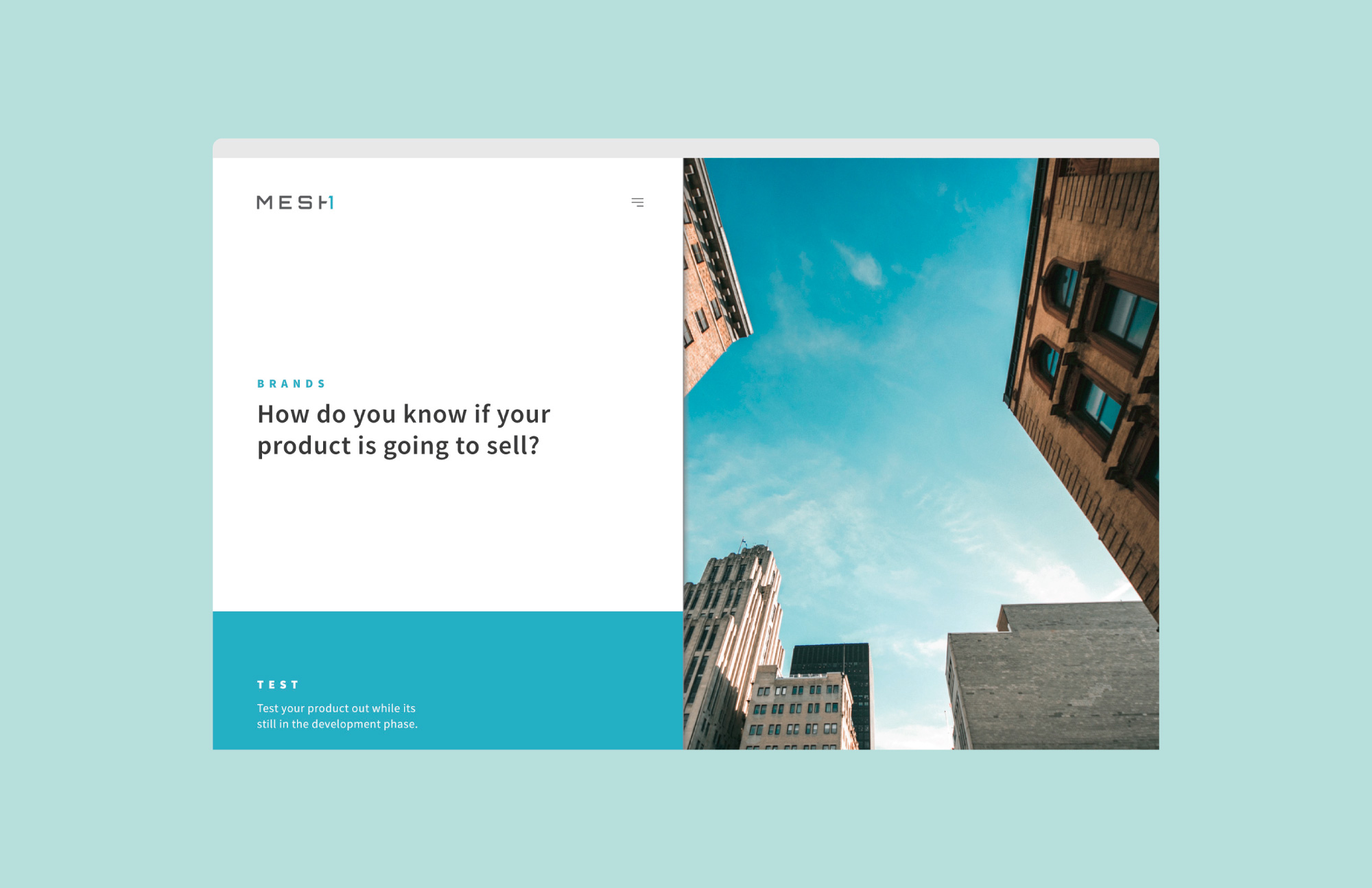 mesh1 website brands